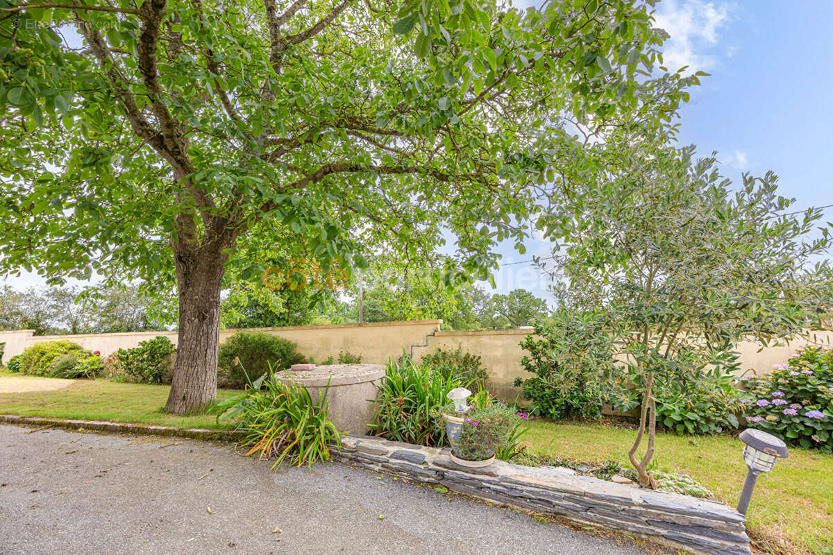 Maison à MARTIGNE-FERCHAUD