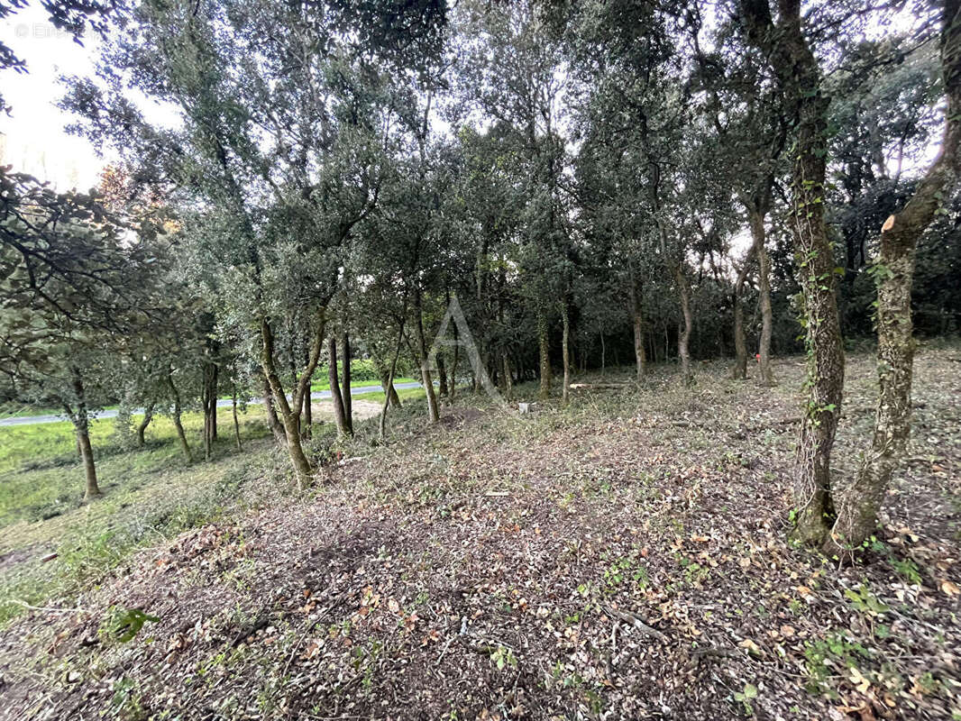 Terrain à LONGEVILLE-SUR-MER