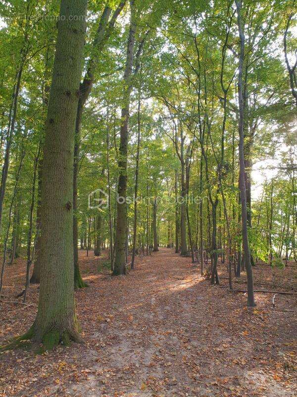 Maison à FONTENAY-TRESIGNY