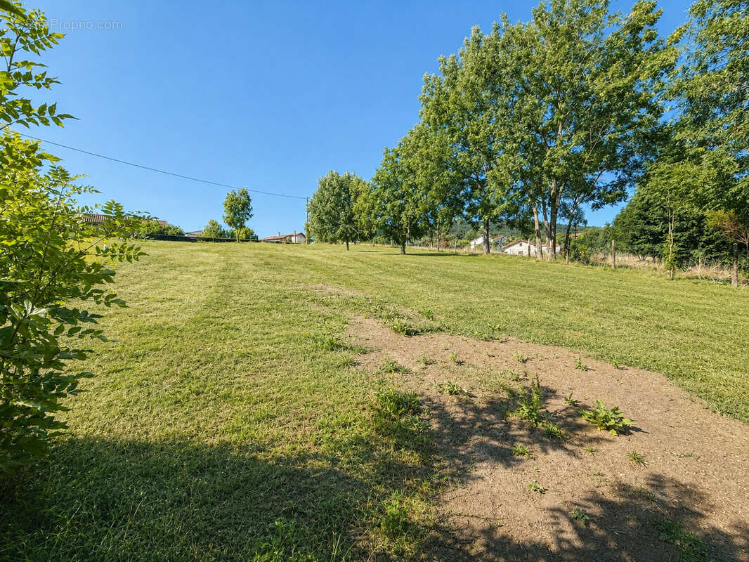 Terrain 1433 m2 dont 725 m2 constructibles à ROISEY - photo 2