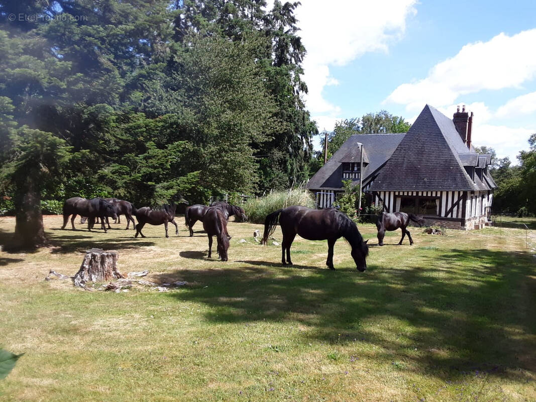 Maison à PONT-L&#039;EVEQUE