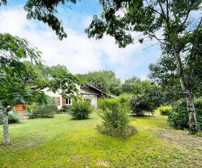 Maison à SAINTE-EULALIE-EN-BORN