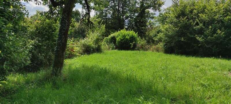Maison à SAINT-MESMIN