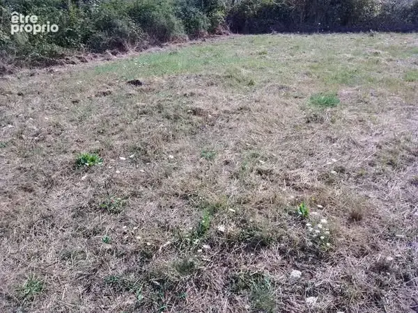 Terrain constructible de 1305 m2 proche de l'etang du merle - photo 4