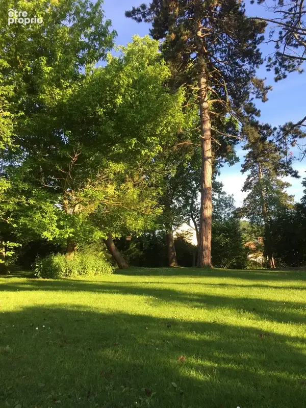 Terrain à ORGERUS