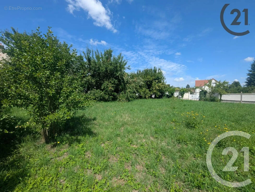 Terrain à JUTIGNY
