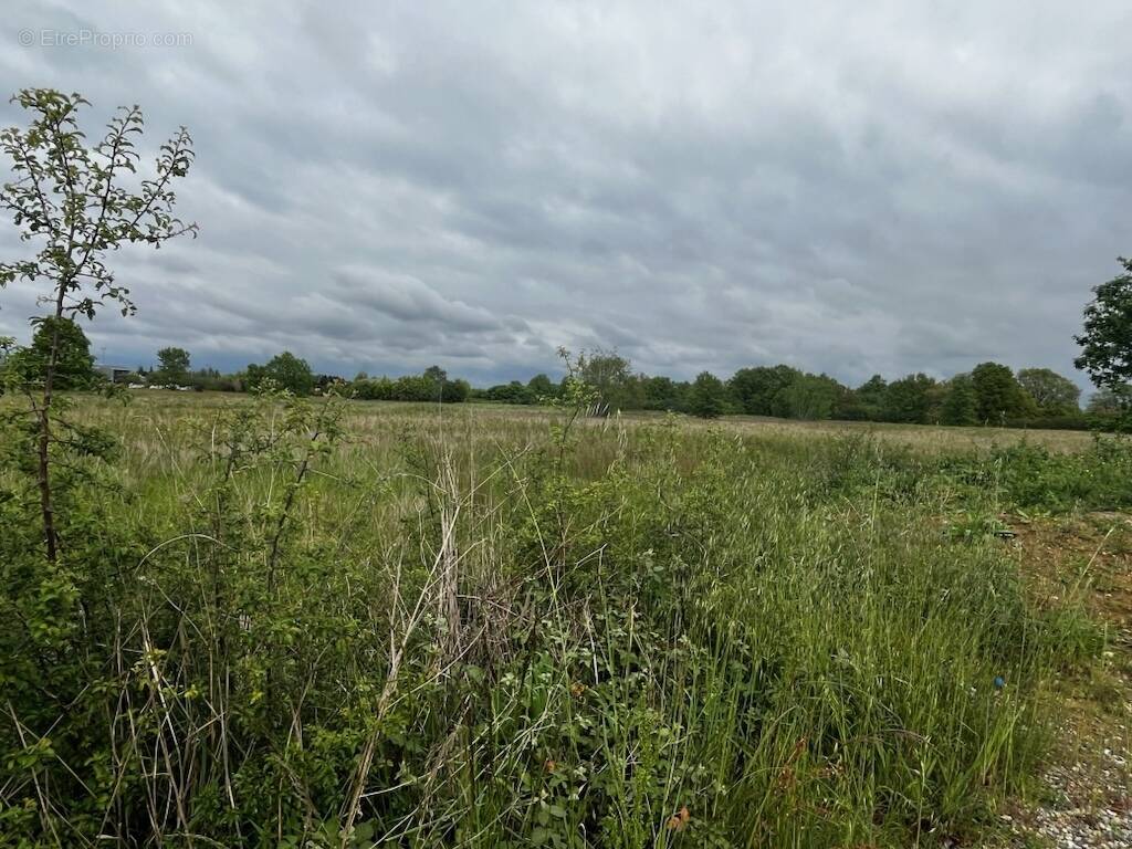 Terrain à SAINT-JEAN