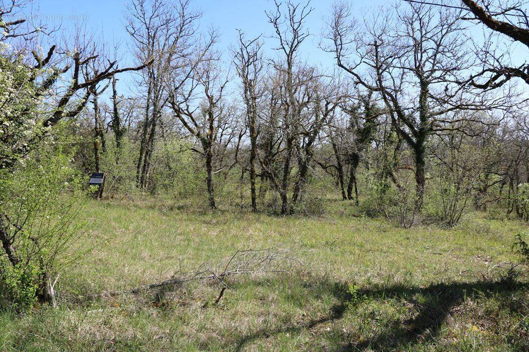Terrain à LA DORNAC