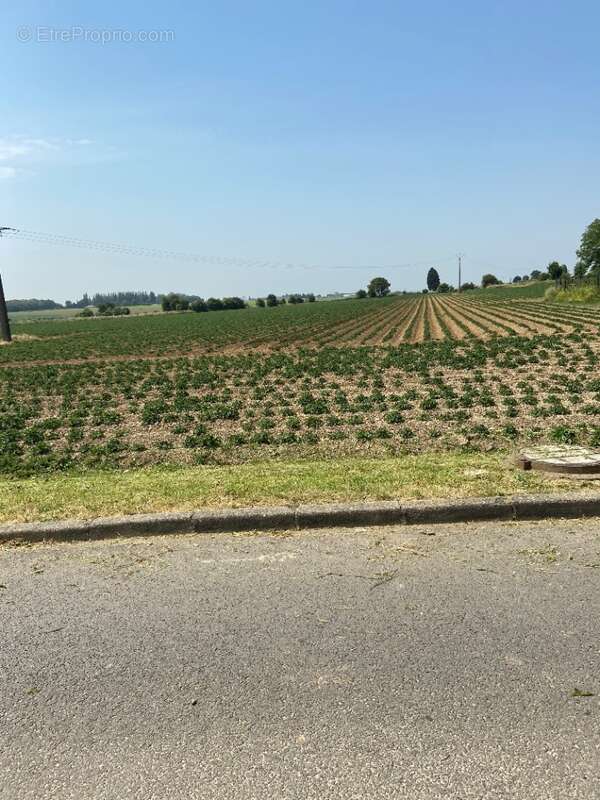 Terrain à ECURIE