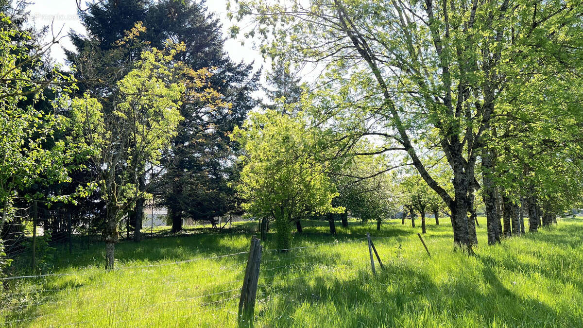 Maison à LADOIX-SERRIGNY