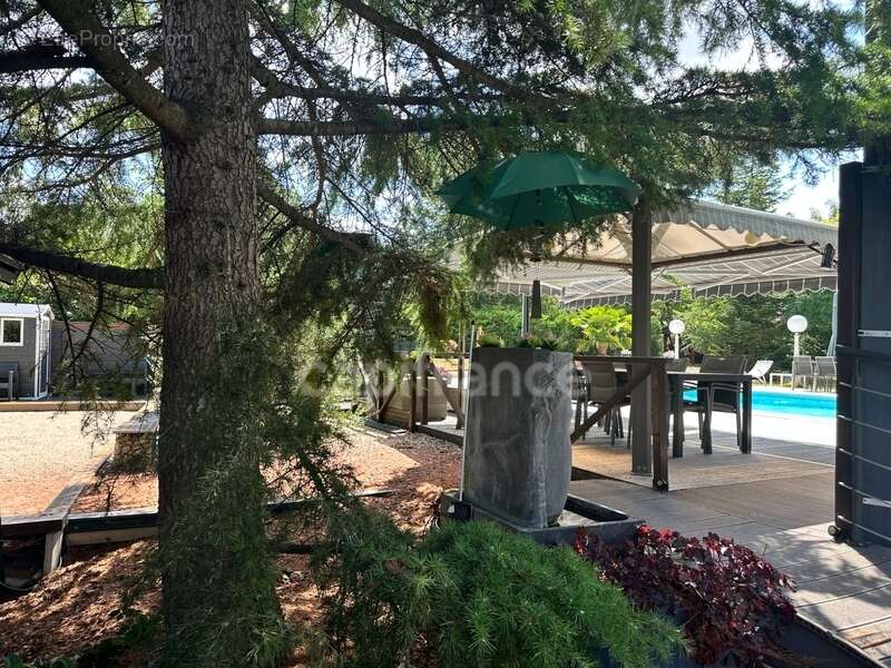 Maison à vendre 7 pièces AUXERRE (89) 167 m2  Piscine  Terrain de 2300 m2 Dépendance - photo 2