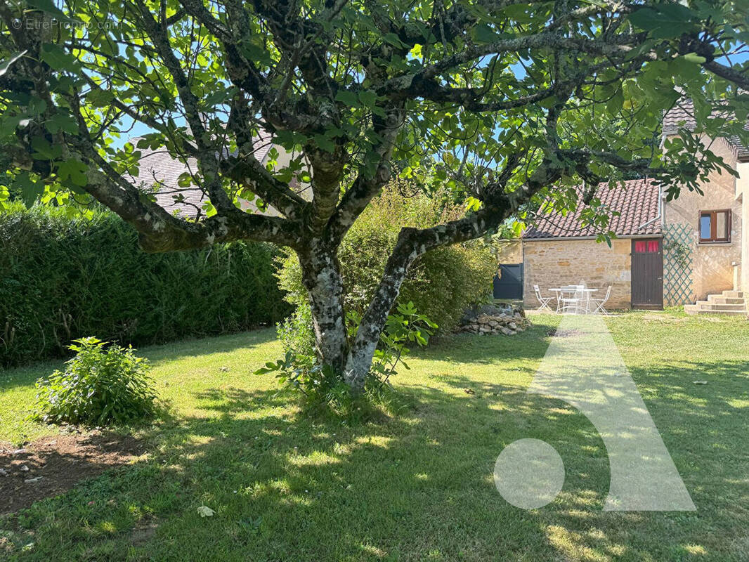 Maison à SALIGNAC-EYVIGUES