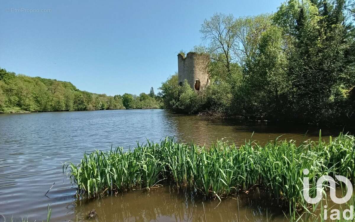 Photo 3 - Maison à CHATEAUMEILLANT