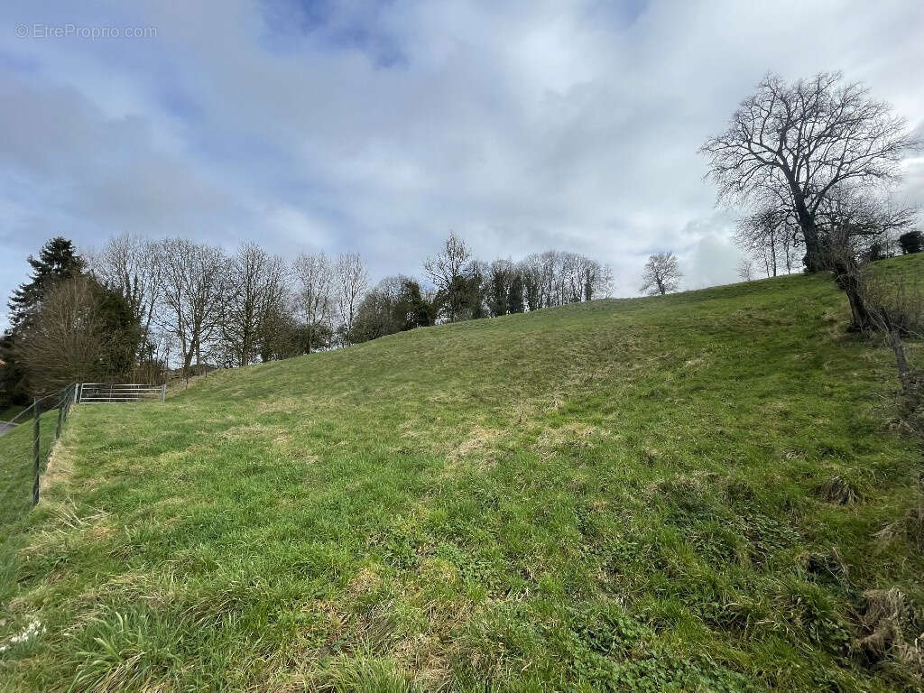 Terrain à SIBIVILLE
