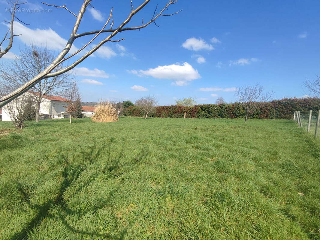 Terrain à BOSMIE-L'AIGUILLE