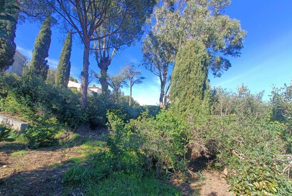 Terrain à LES ISSAMBRES