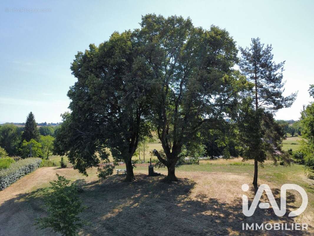 Terrain 960 m² à Chaussenac  - photo 8