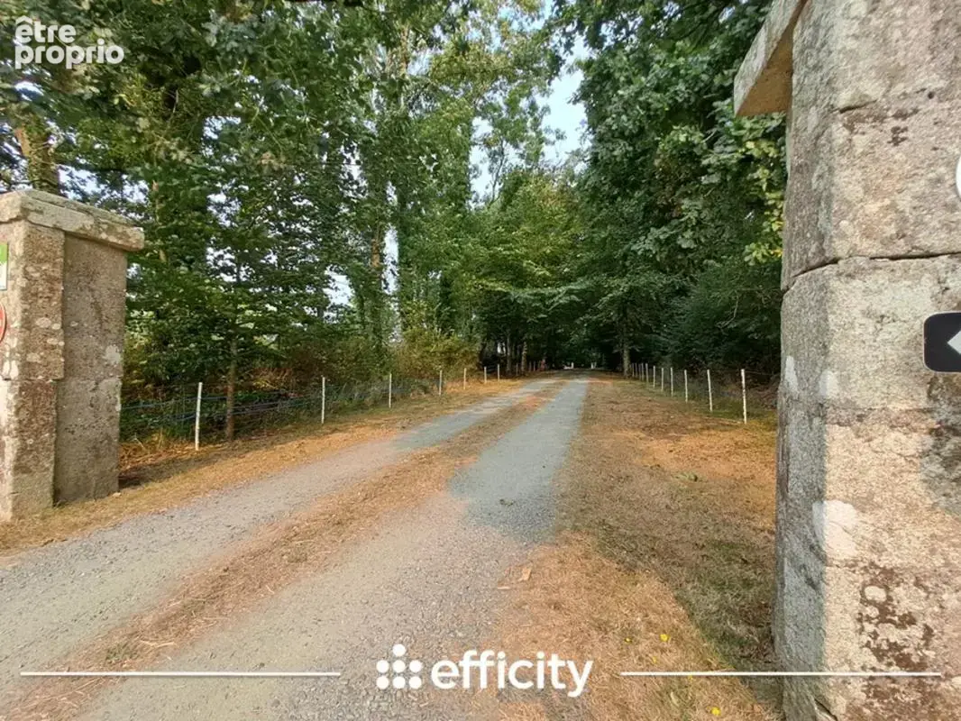 Maison 14 pièces 269 m² à vendre à Peumerit (29710) - photo 2