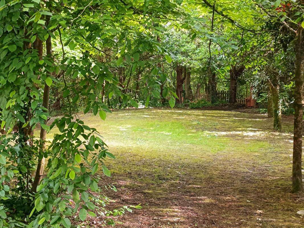 Maison à SAINT-AIGNAN-GRANDLIEU