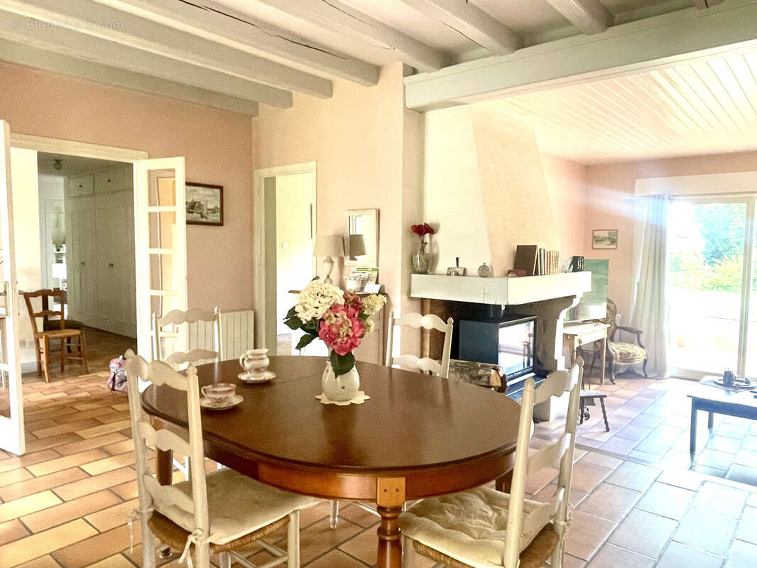 Maison à THENEZAY