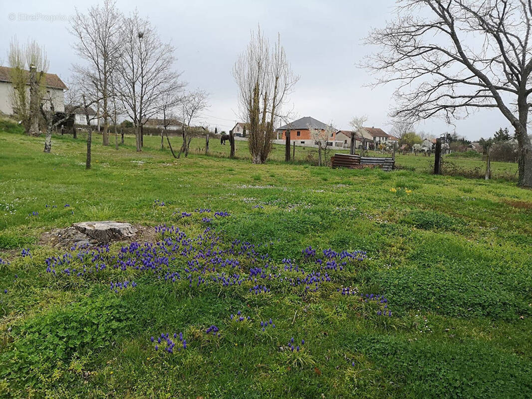 Terrain à DOMERAT
