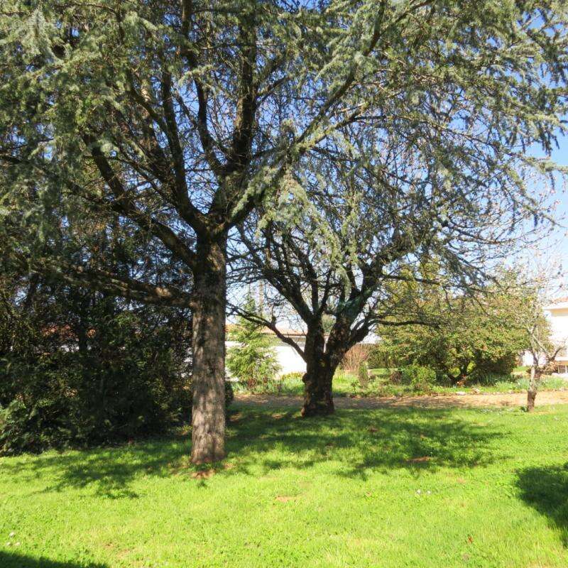 Maison à FONTENAY-LE-COMTE