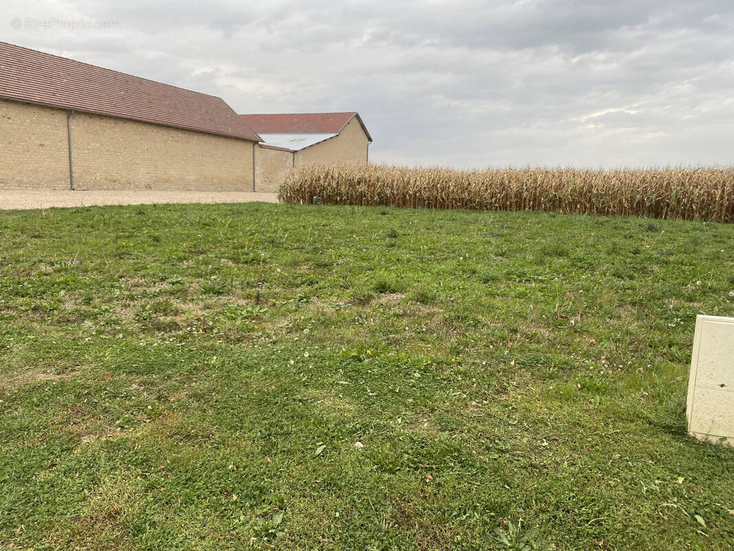 Terrain à LIERVILLE