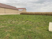 Terrain à LIERVILLE