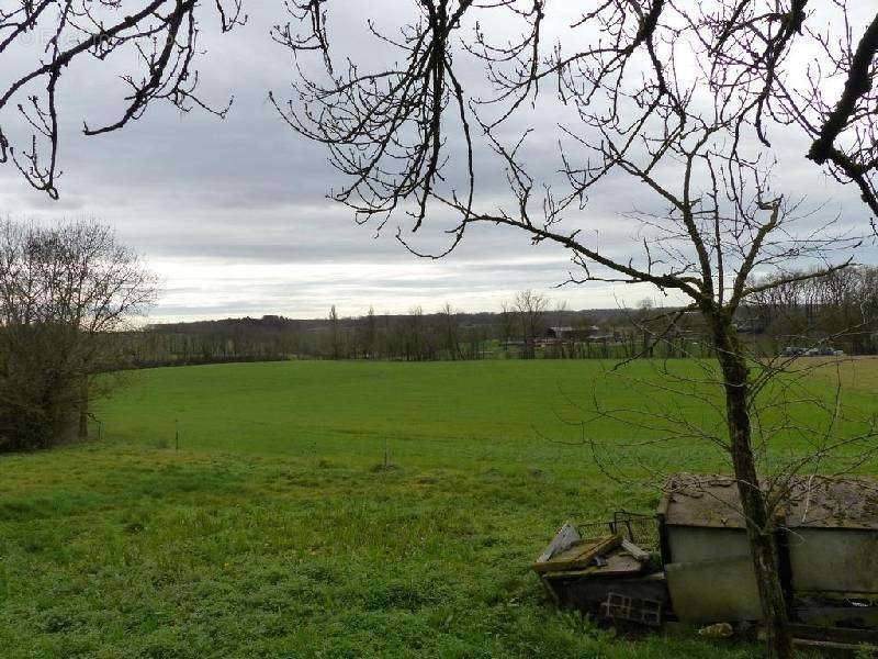 Maison à SAINT-LEON-D&#039;ISSIGEAC