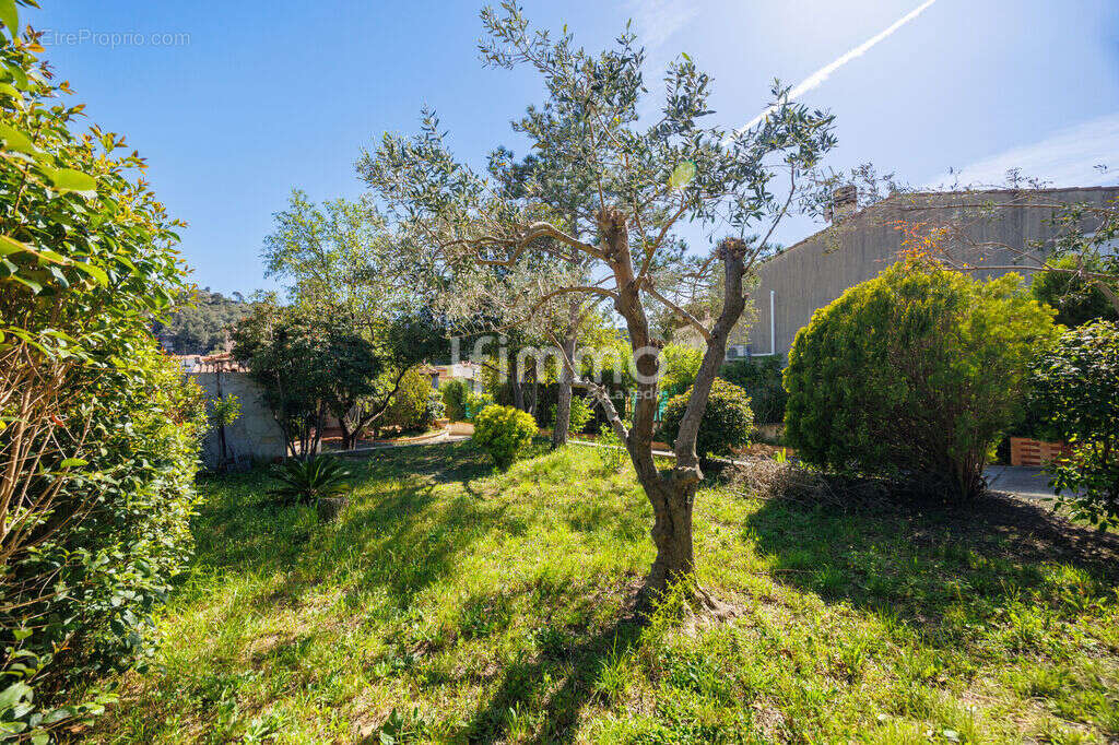 Le Rove 13740 / Maison / Terrain - photo 3
