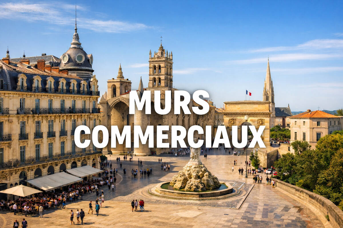 Commerce à MONTPELLIER