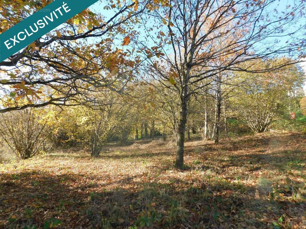 Photo 4 - Terrain à SENONES