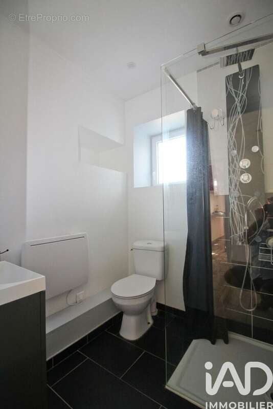 Photo 8 - Maison à CHATILLON-SUR-LOIRE