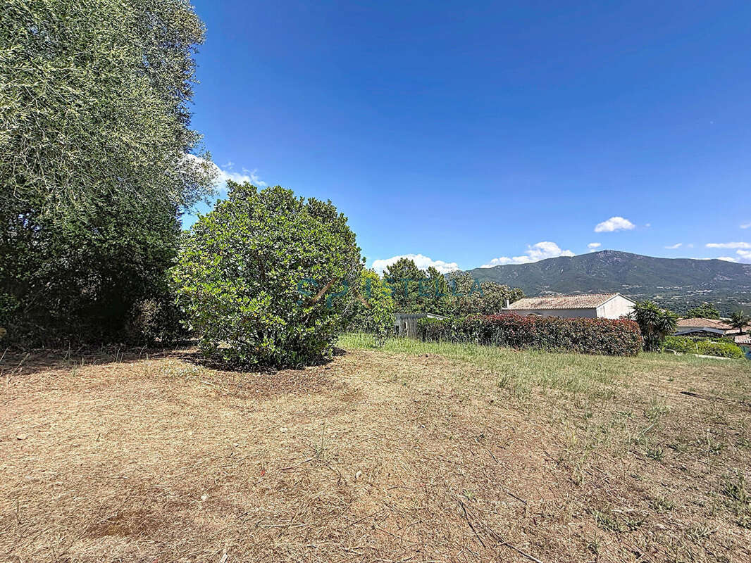AFA, Maison familiale avec piscine, T2 indépendant et 1 990 m² de terrain - photo 12