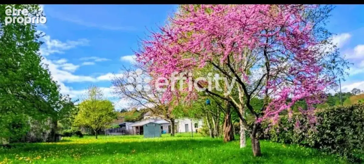 Maison en pierres - photo 22