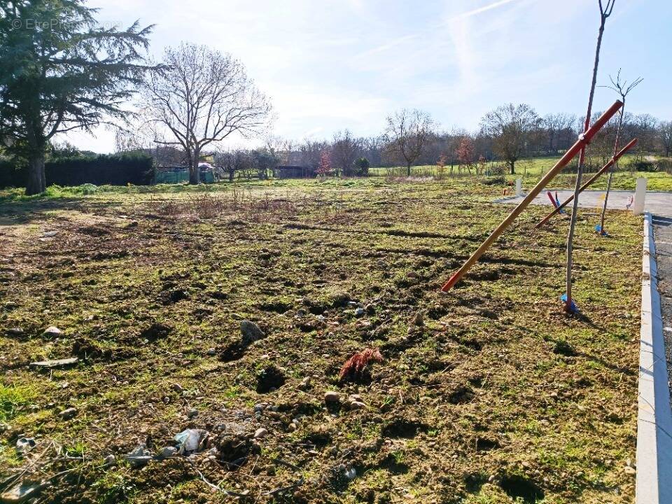 Terrain à MURET