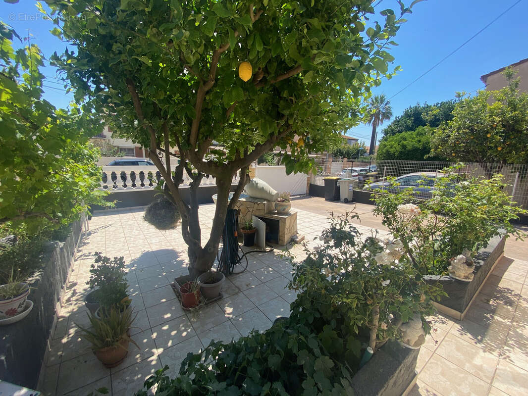 Maison à VILLELONGUE-DE-LA-SALANQUE