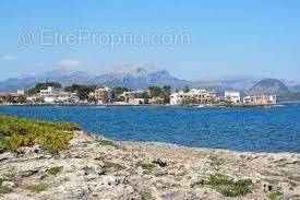 Autre à LE BARCARES