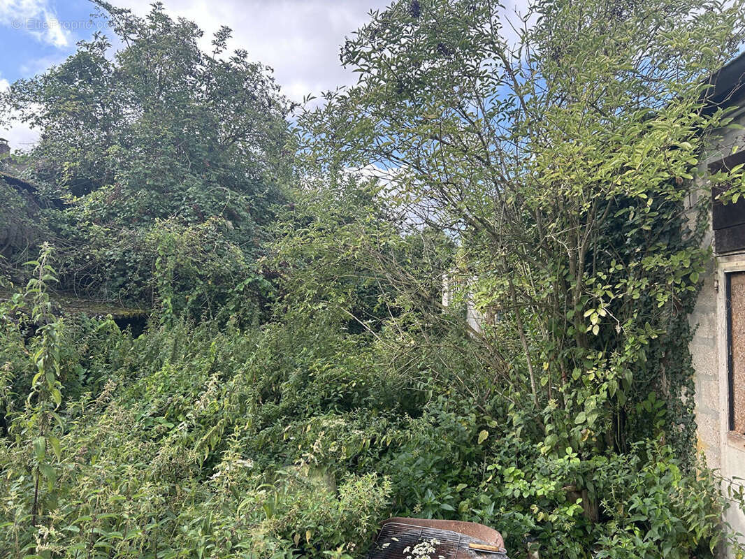 Terrain à LE CHATELET-EN-BRIE