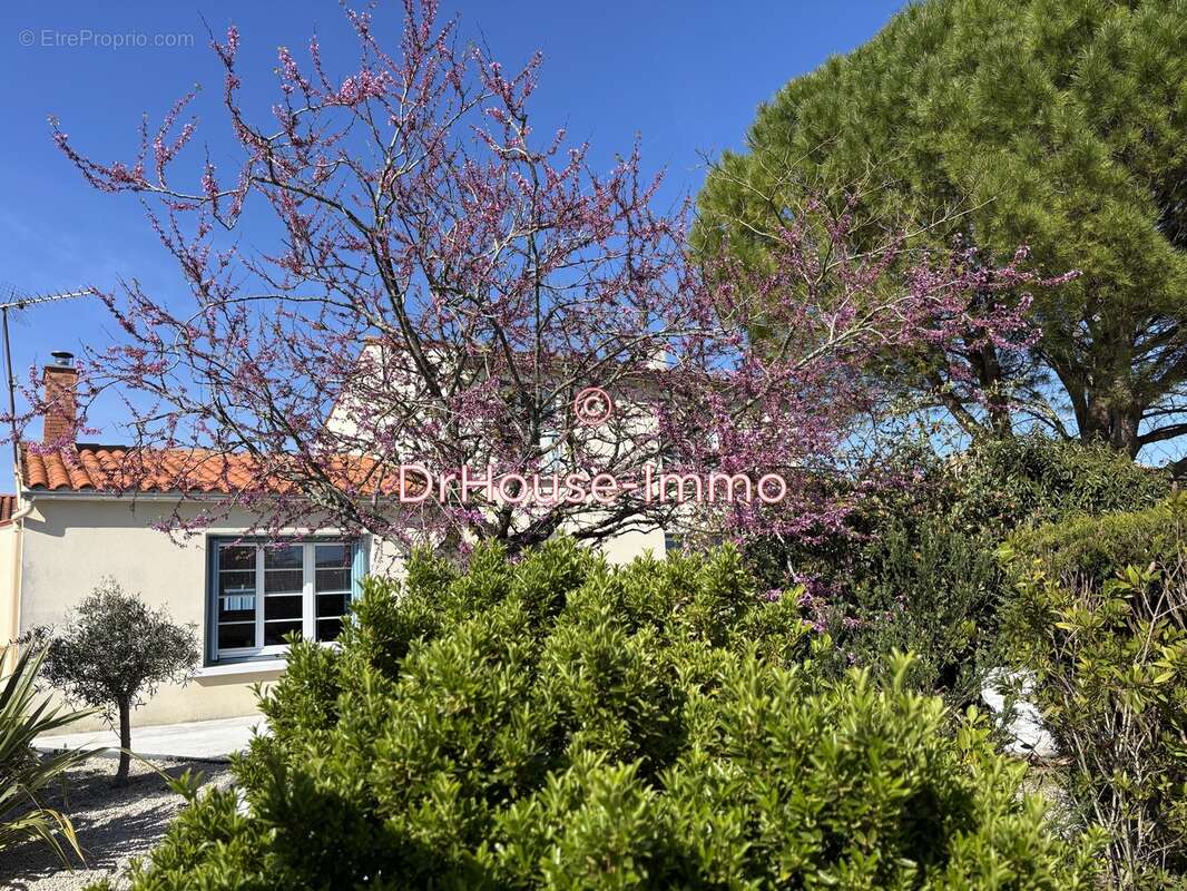 Maison à CHAILLE-LES-MARAIS