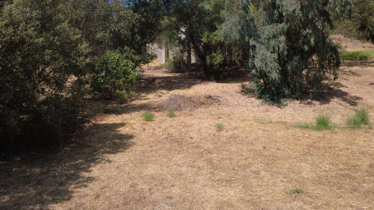 Exclusivité, Terrain viabilisé de 1 025 m² avec projet de maison à Alata, Castagnola - photo 6