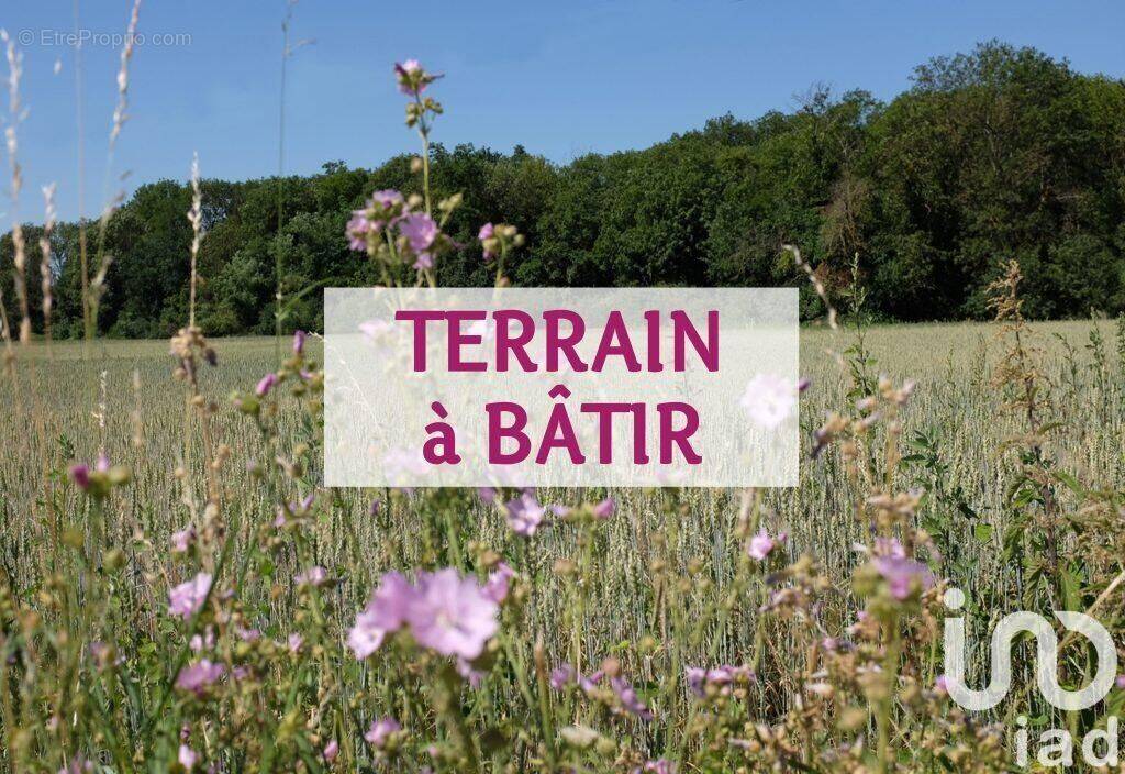 Photo 1 - Terrain à FONTAINE-LA-MALLET