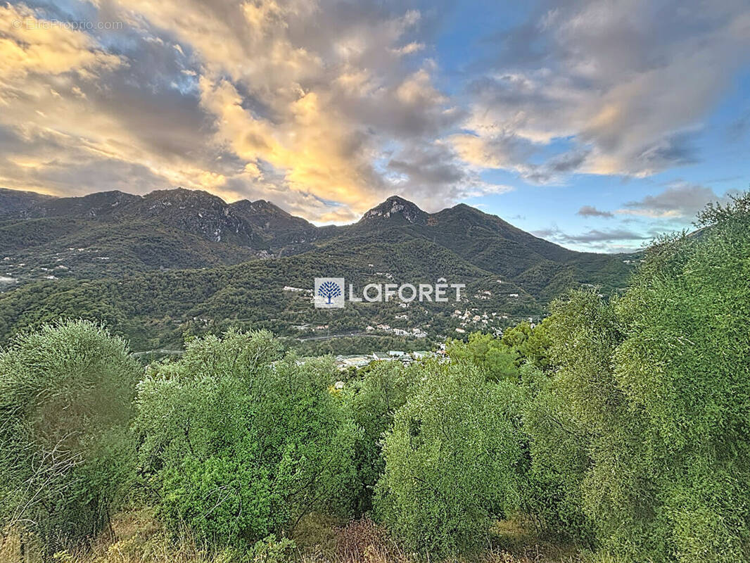 Terrain à CASTELLAR