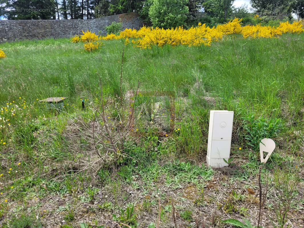 Terrain à LANGOGNE