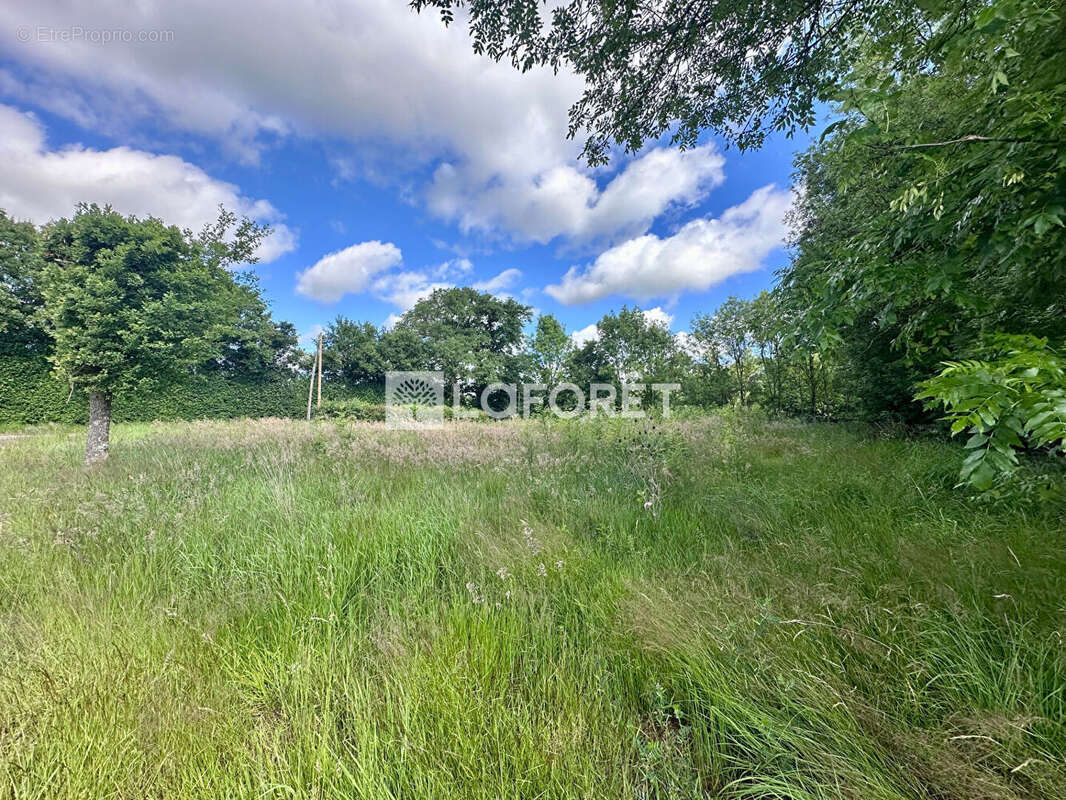 Maison à vendre Ambérieux En Dombes 6 pièce(s) 151.71 m2 - photo 18