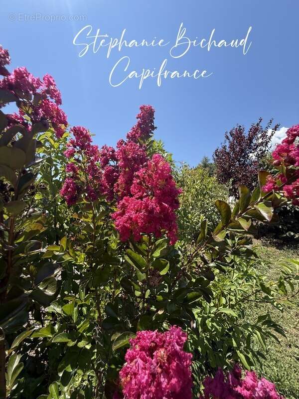 Maison à CHATEAUVIEUX