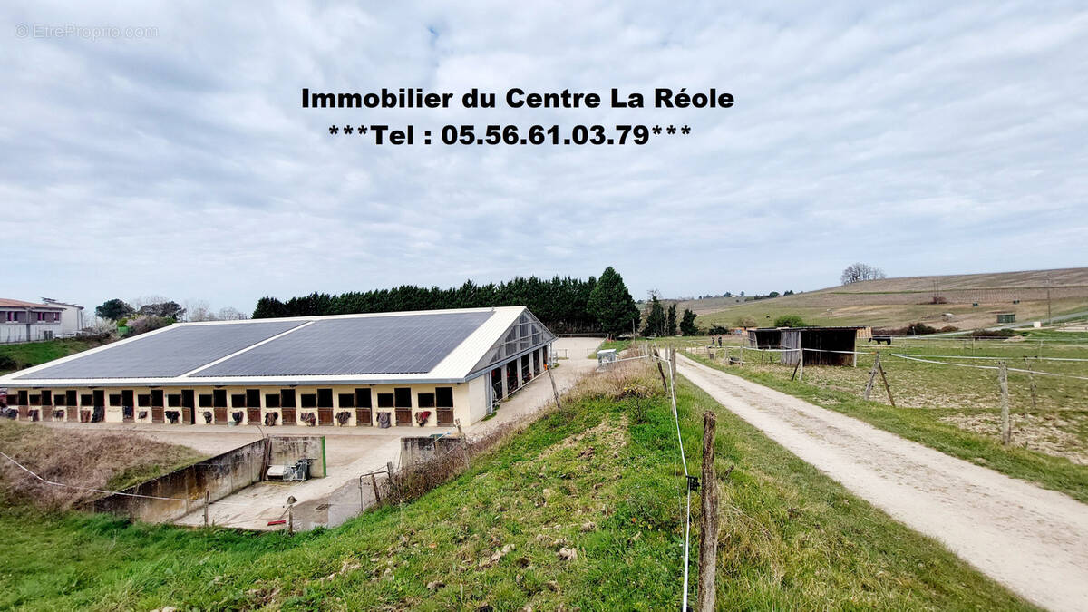 Maison à LA REOLE