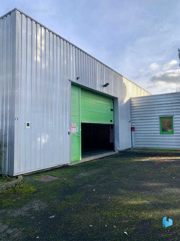 Commerce à LA FERTE-BERNARD