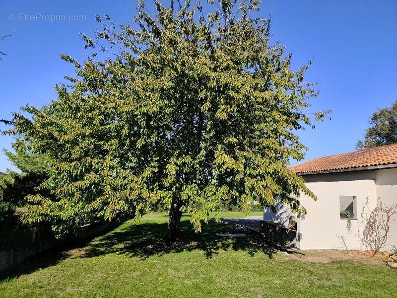 Maison à RUELLE-SUR-TOUVRE