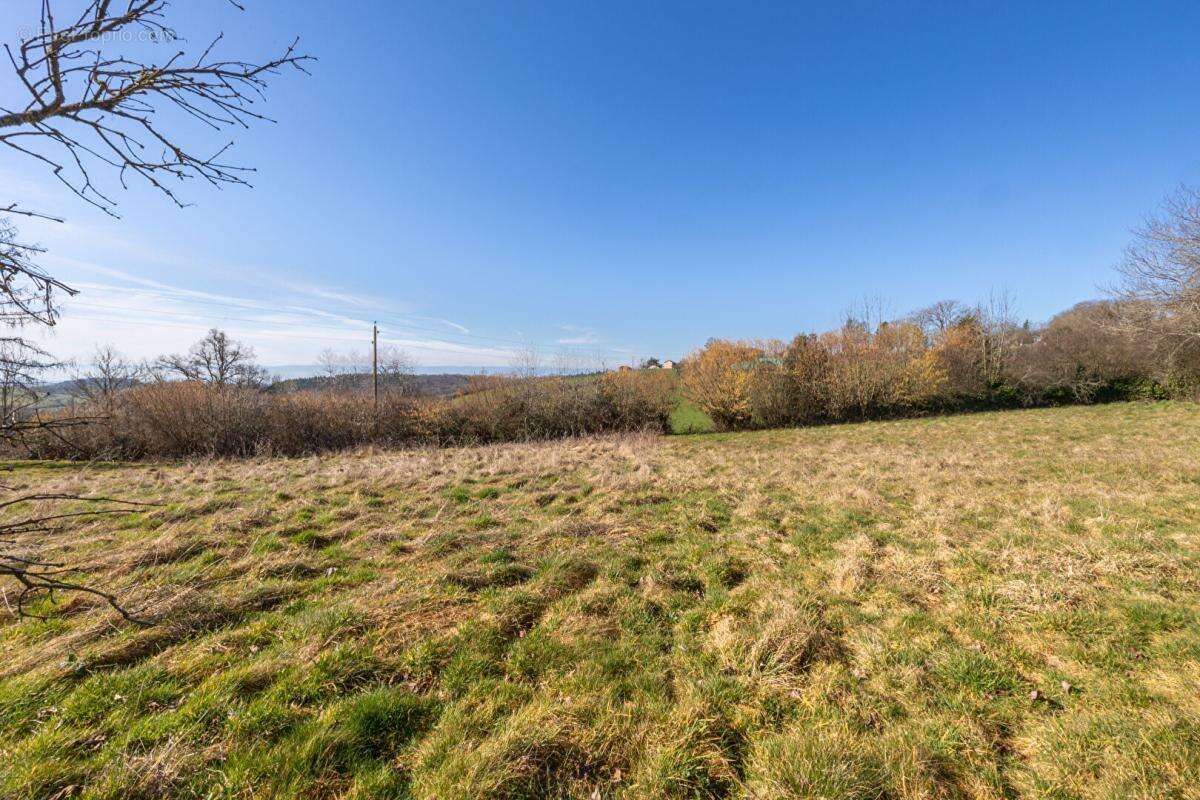 Terrain à SAINTE-AGATHE-EN-DONZY